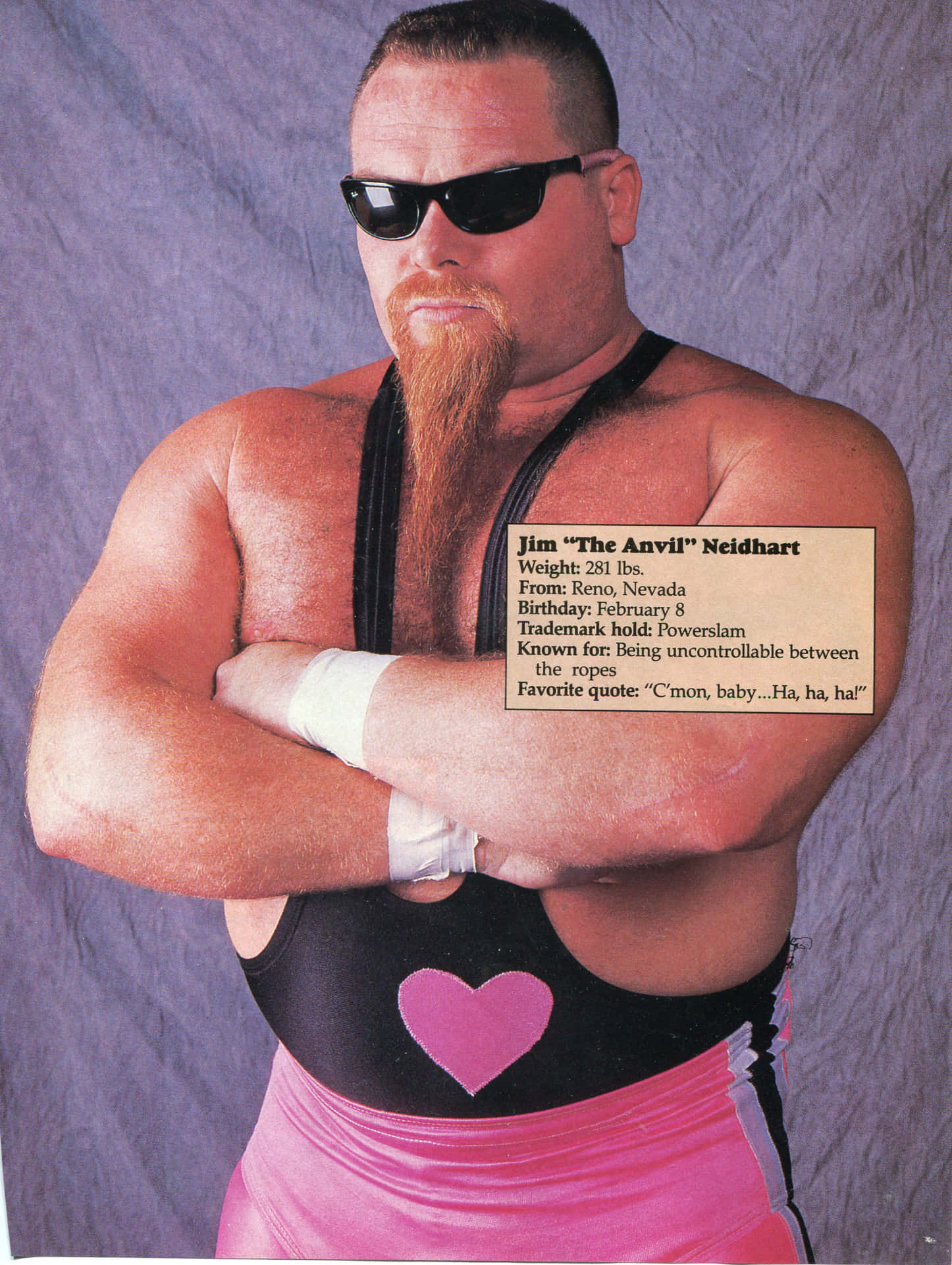 American Professional Jim Neidhart Background