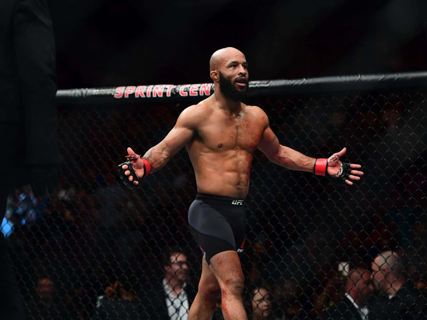 American Professional Mixed Martial Arts Fighter Demetrious Johnson Background