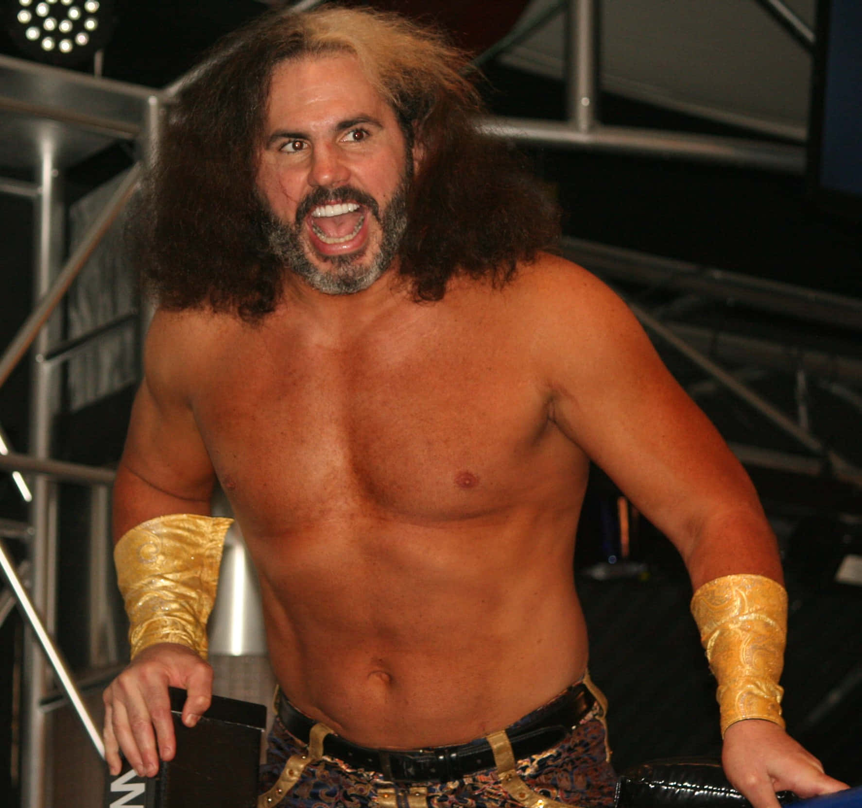 American Professional Wrestler Matt Hardy 2017