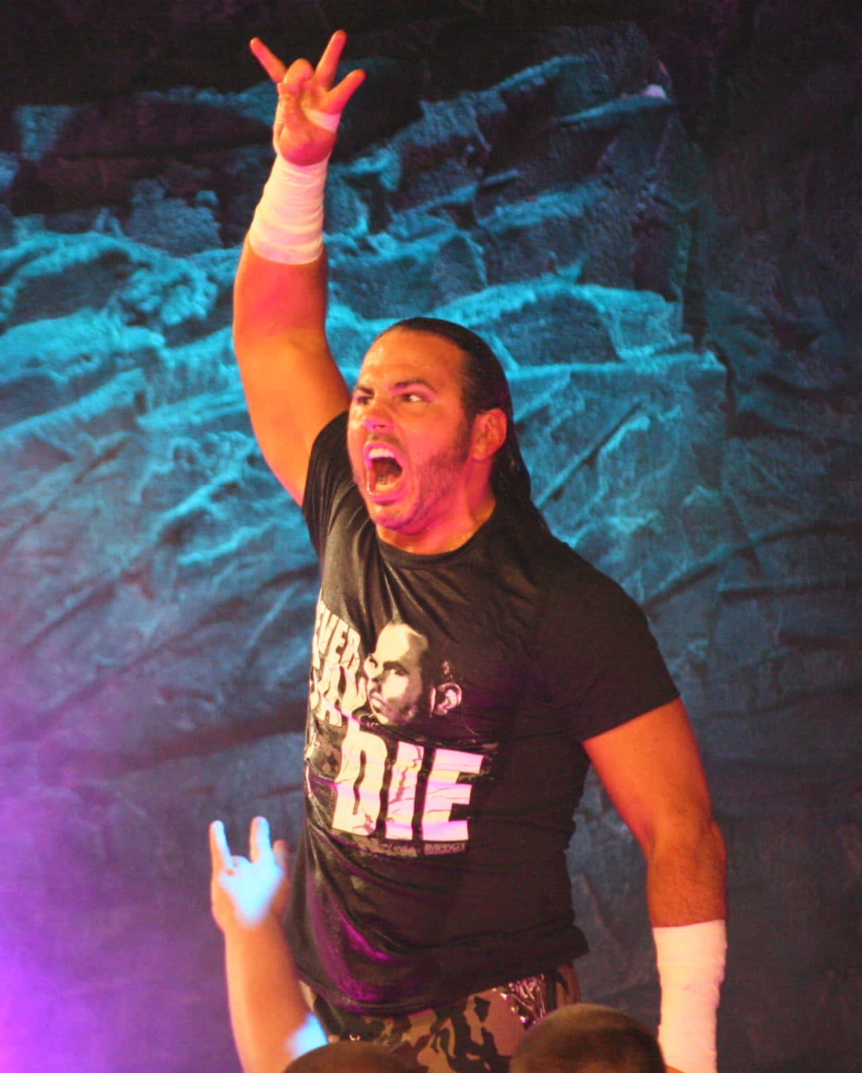 American Professional Wrestler Matt Hardy At Tna Show, 2014