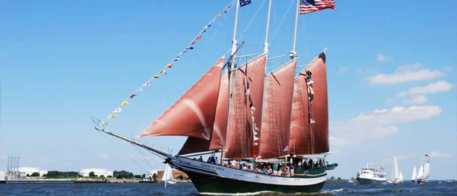 American Rover Sailing Cruises In Norfolk, Virginia Background