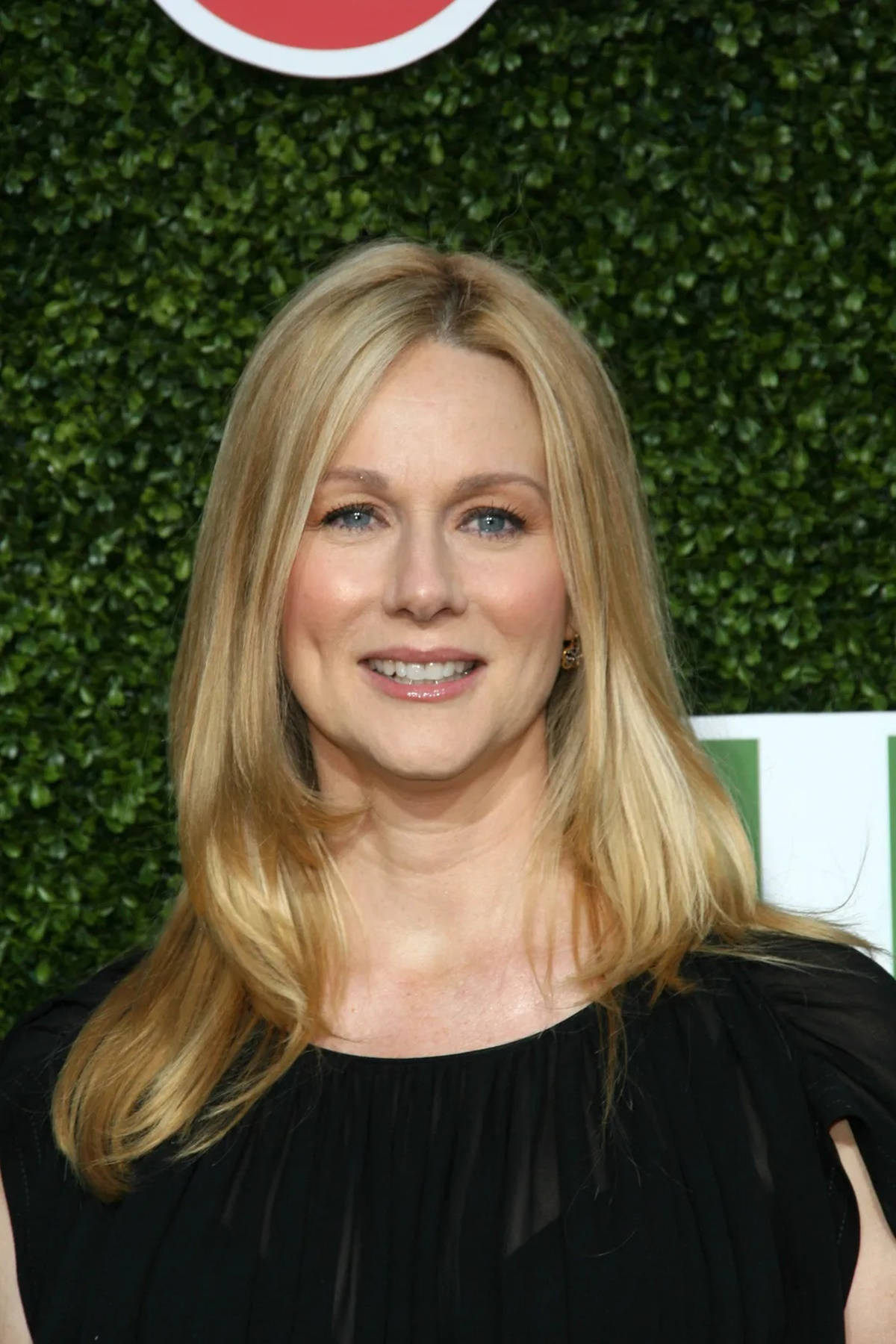 American Sexy Actress Laura Linney Background