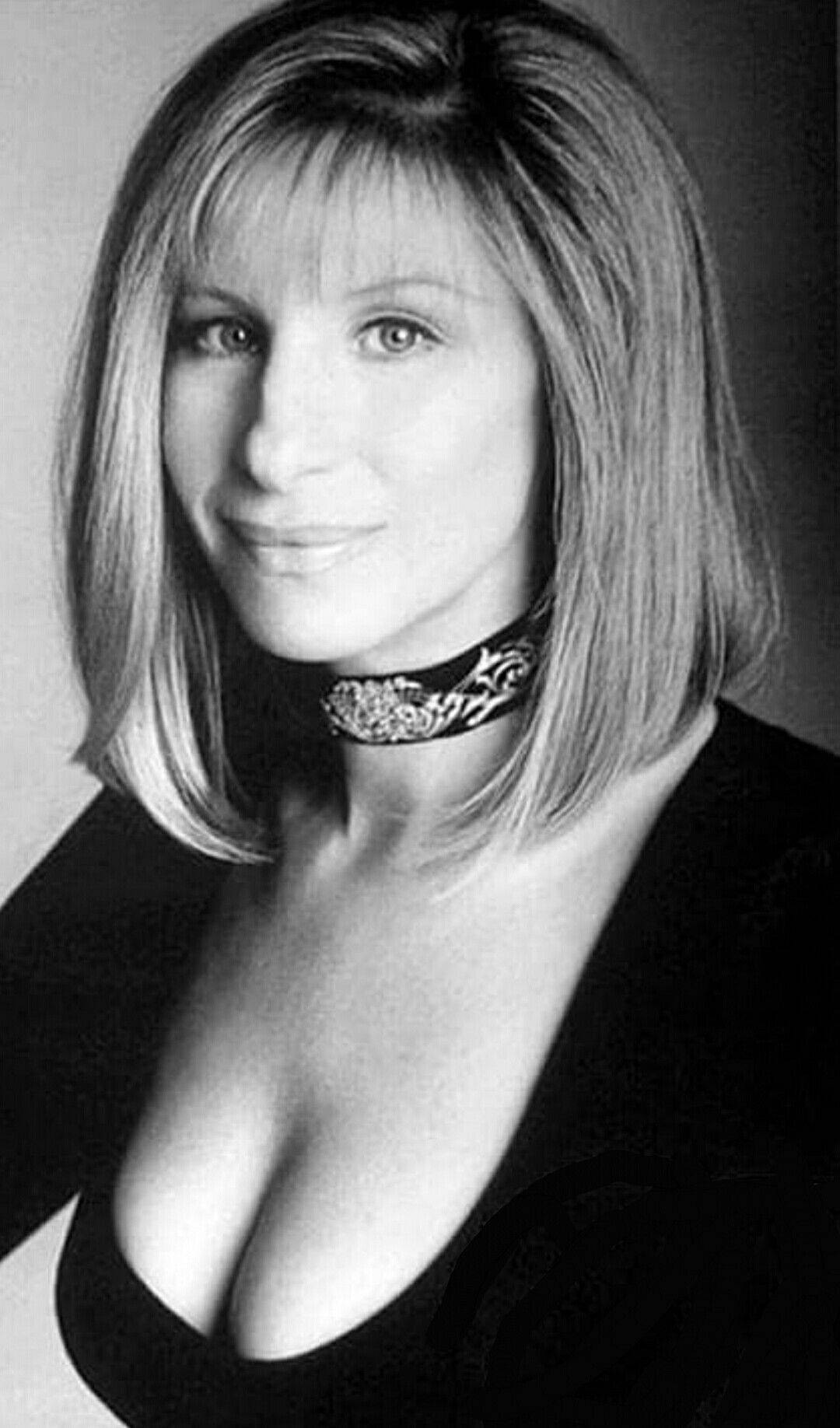 American Singer Barbra Streisand The Concert 1994 Tour Background