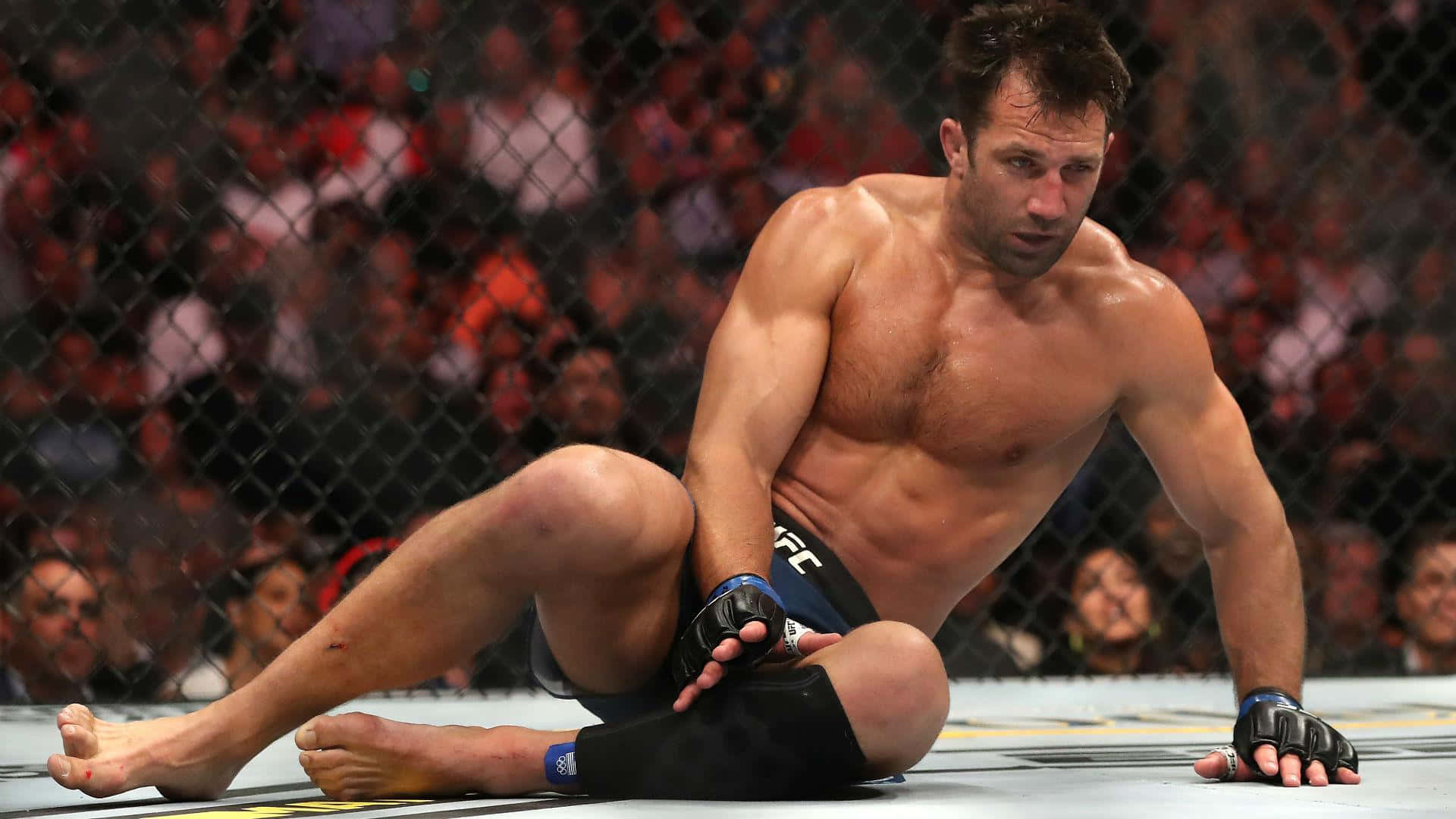 American Ufc Fighter Luke Rockhold In Action At Ufc 239 Background