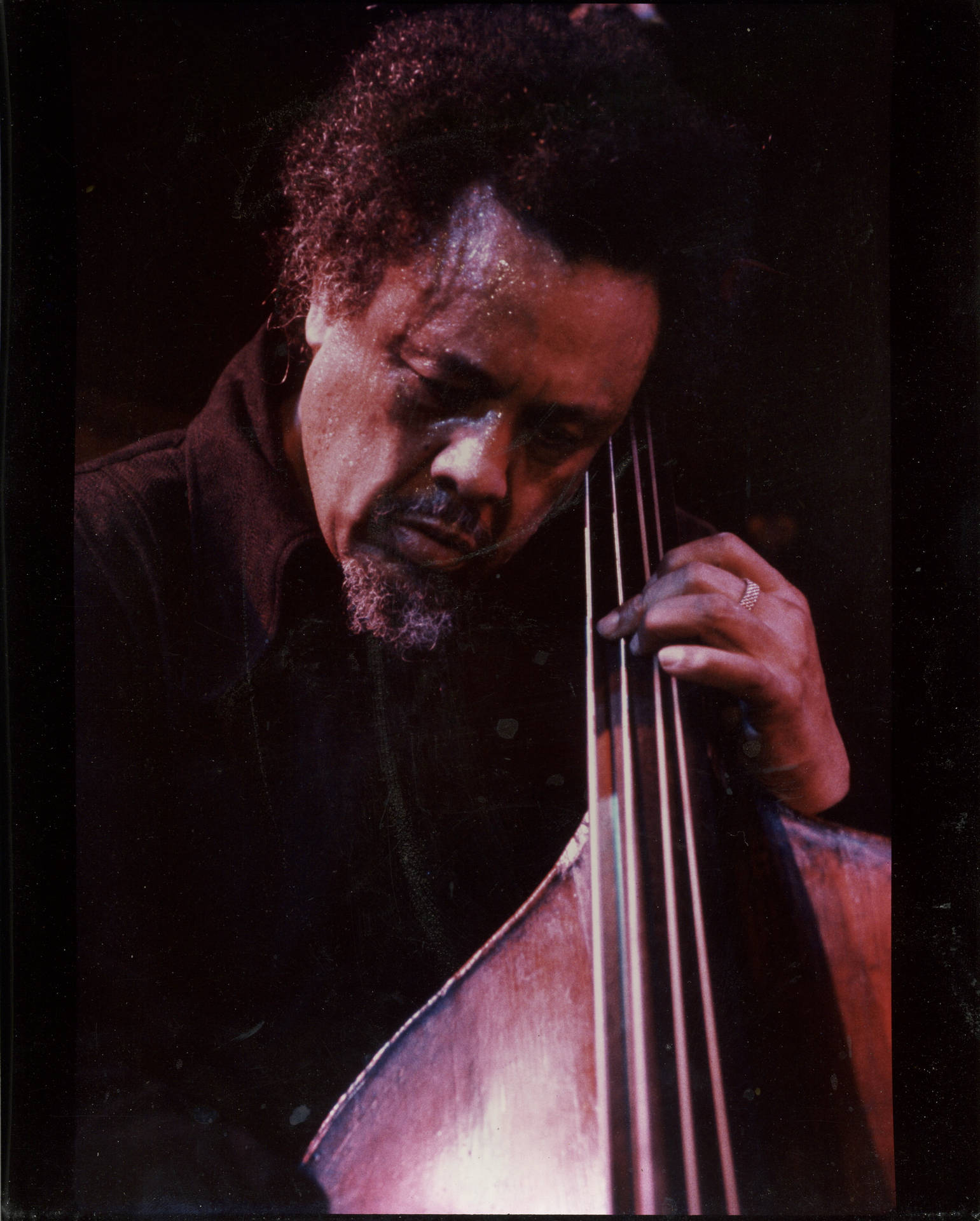 American Upright Bassist Charles Mingus