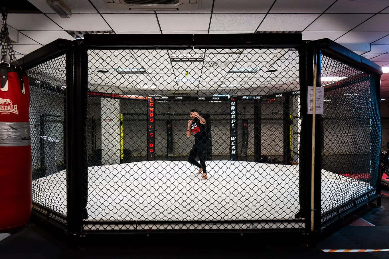 Amir Albazi Alone In Octagon Background