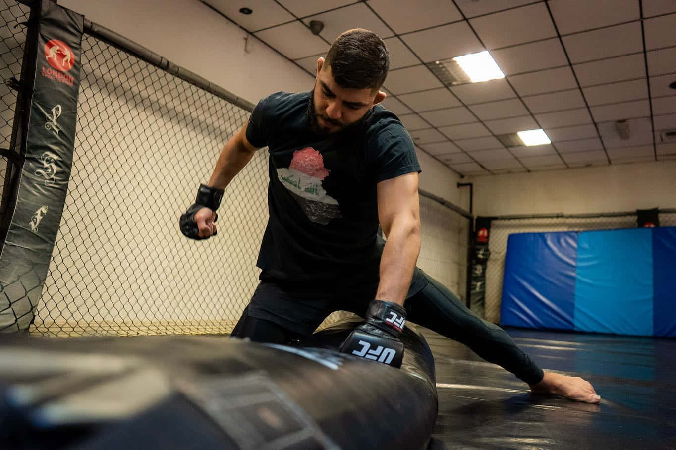 Amir Albazi Kneeling Punches