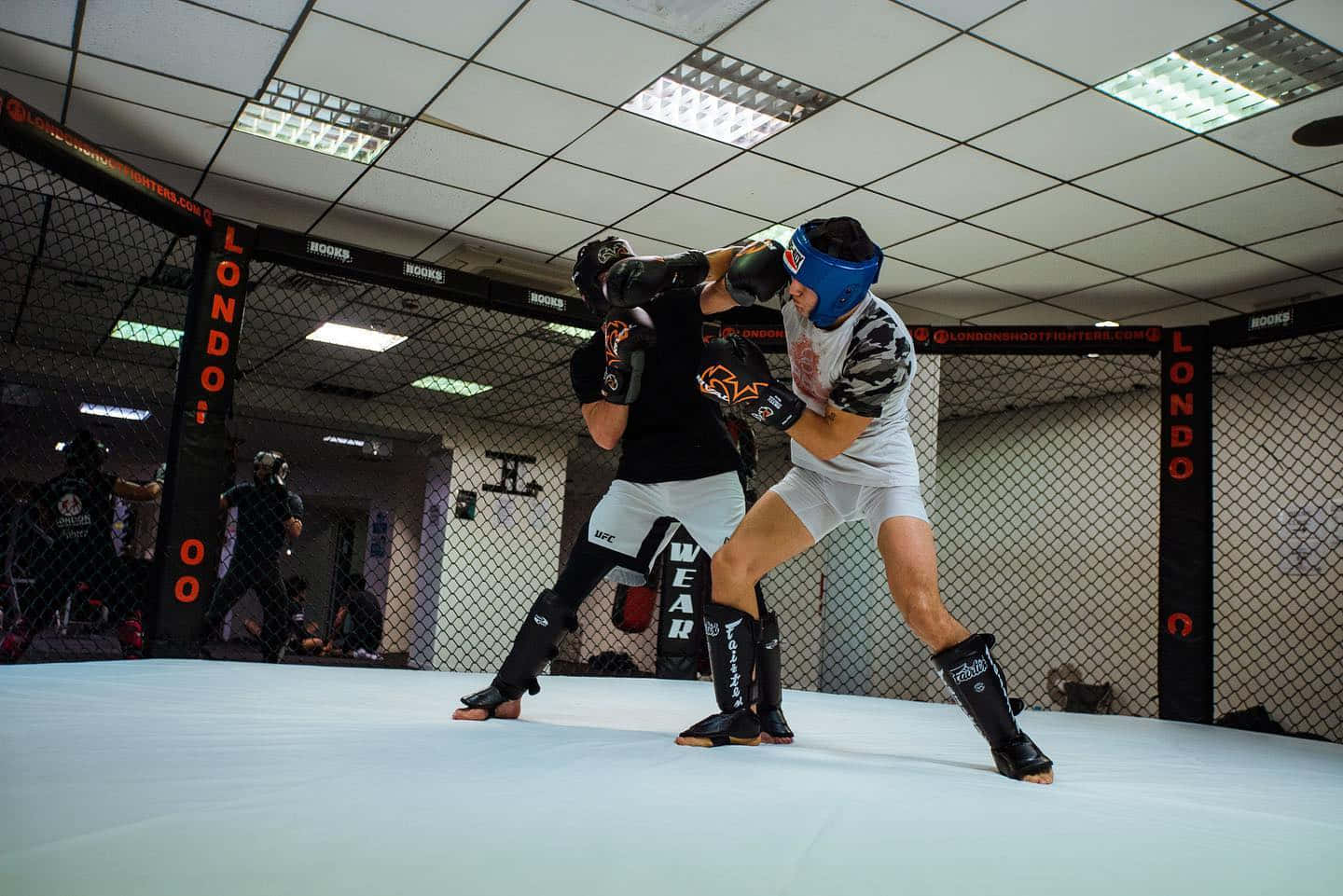 Amir Albazi Landing Face Punch Background