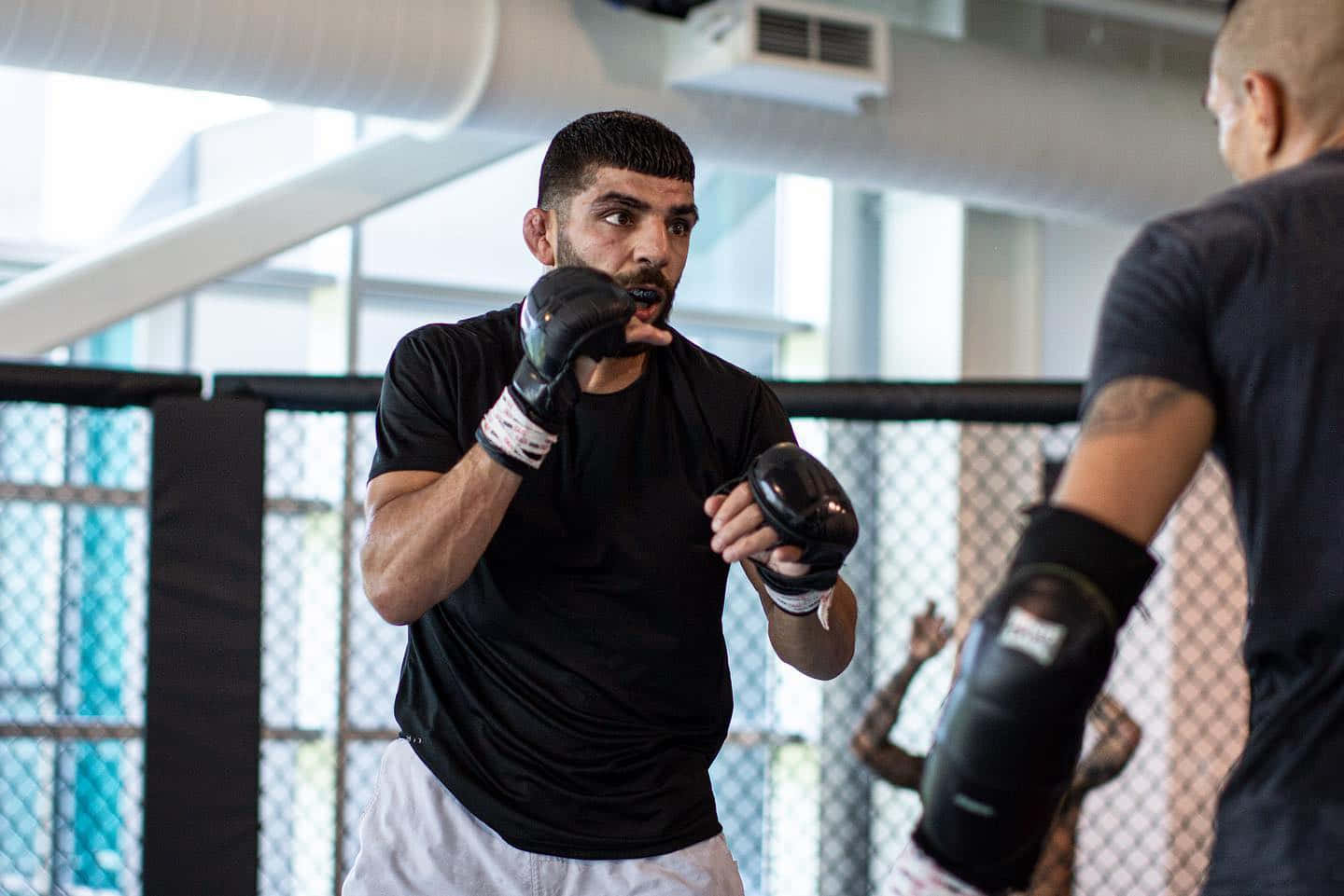 Amir Albazi Ready For Battle