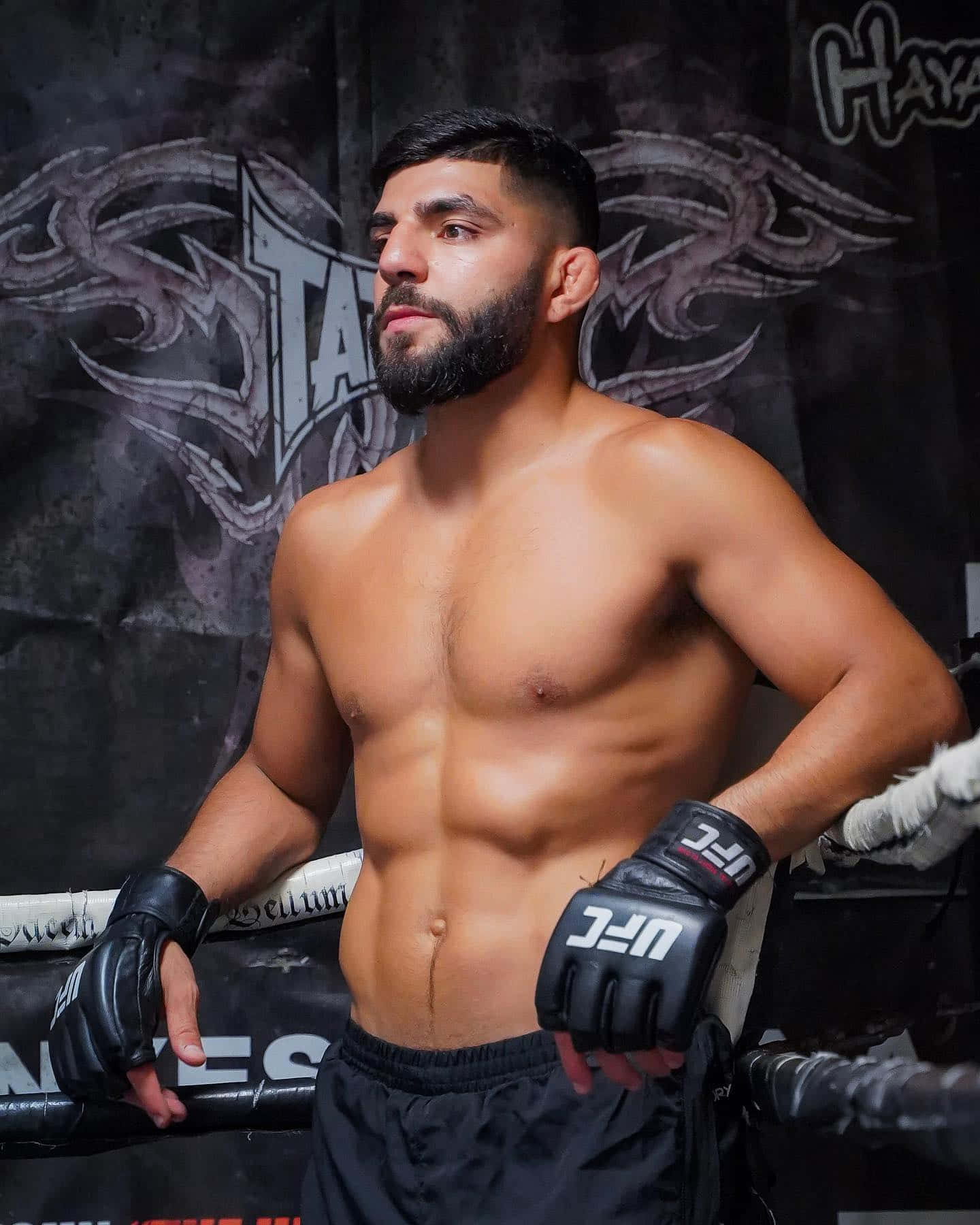 Amir Albazi Relaxing On Ropes