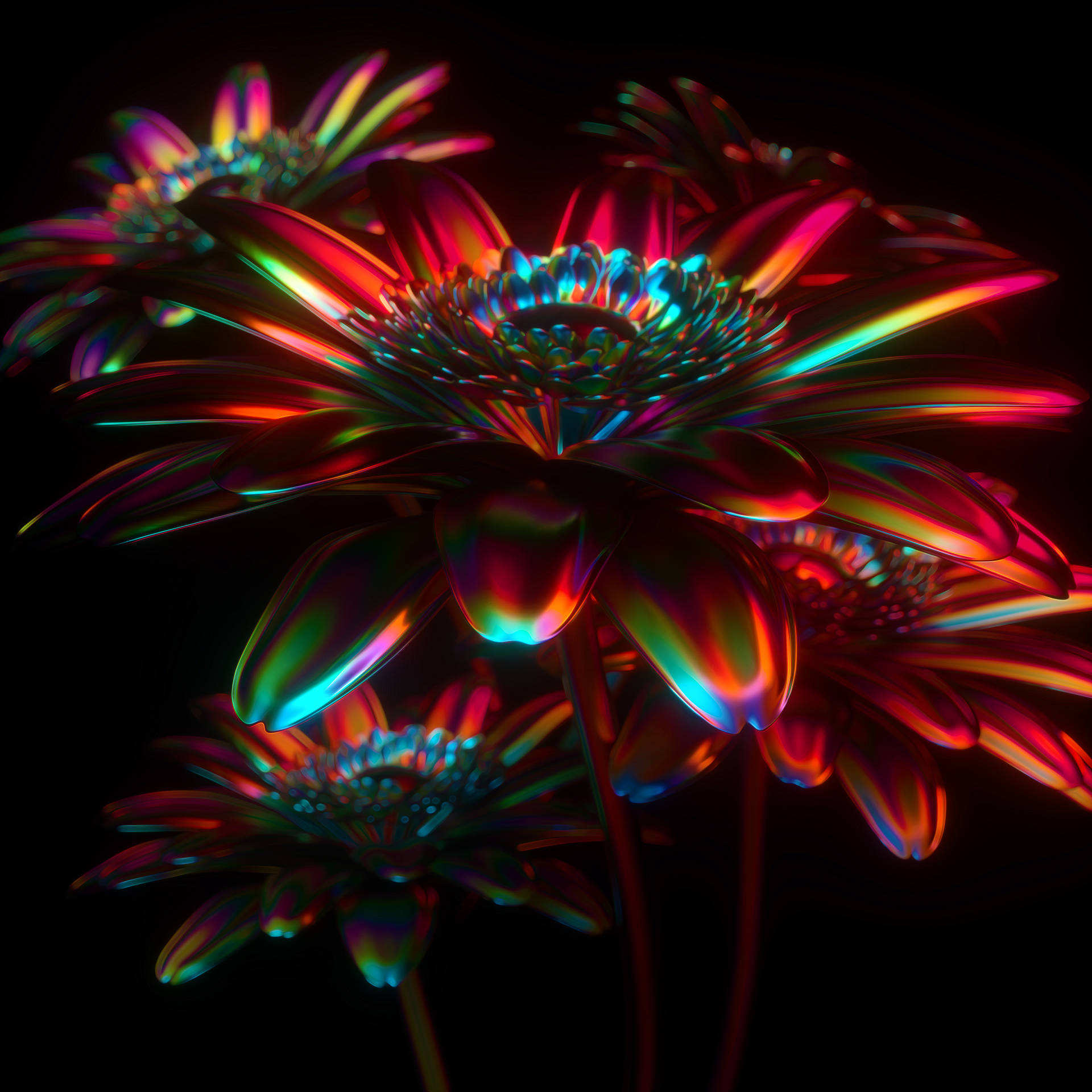 Amoled Flower Black Art Background