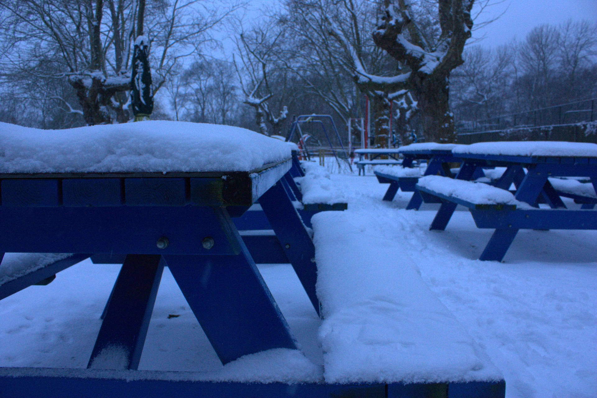 Amsterdam Vondel Park At Winter Background