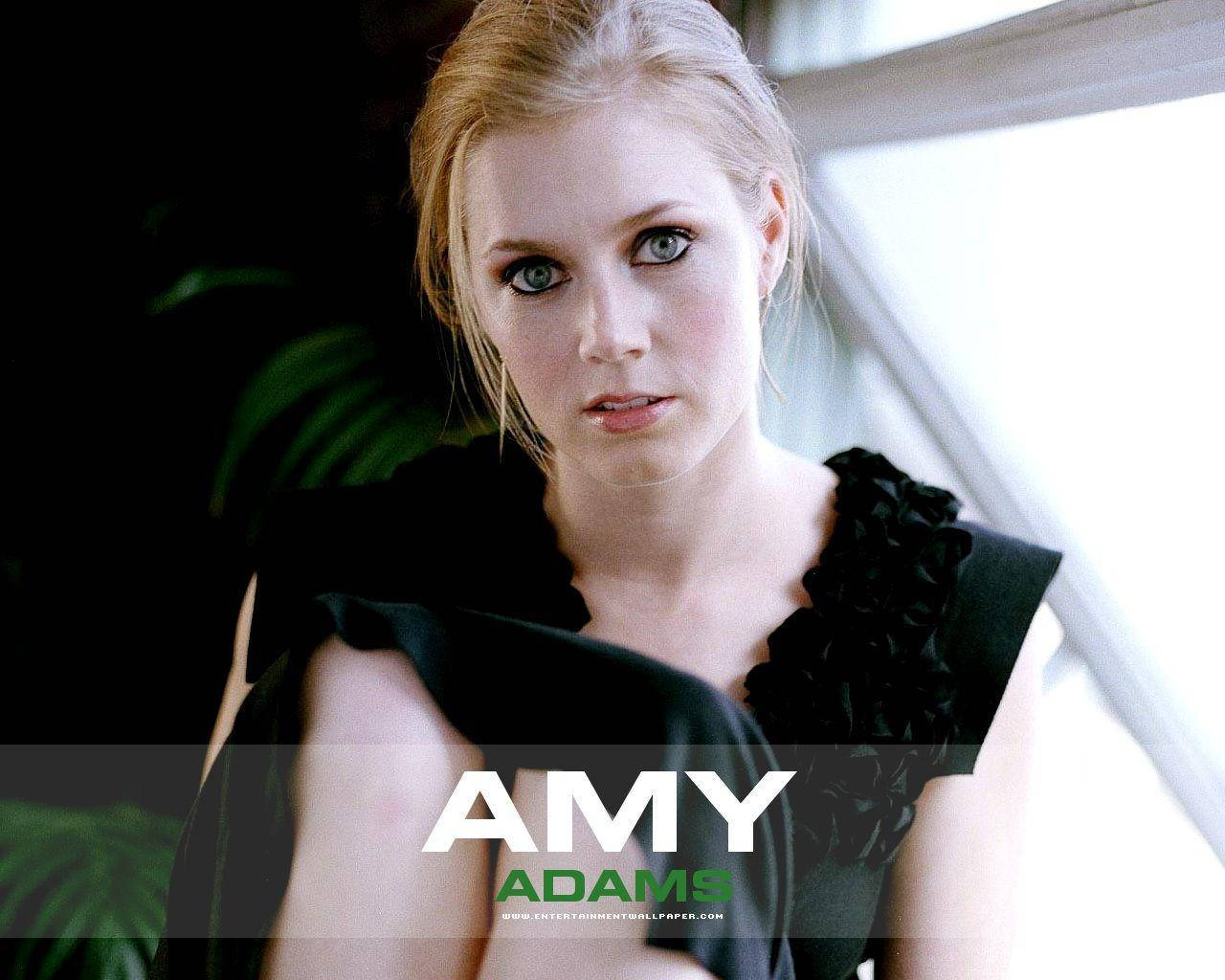 Amy Adams Fuzzy Background