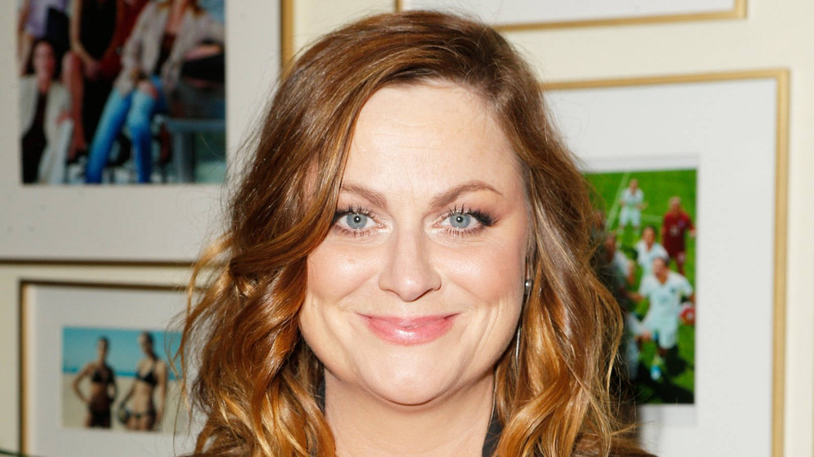 Amy Poehler, Renowned Television Actress And Producer Background