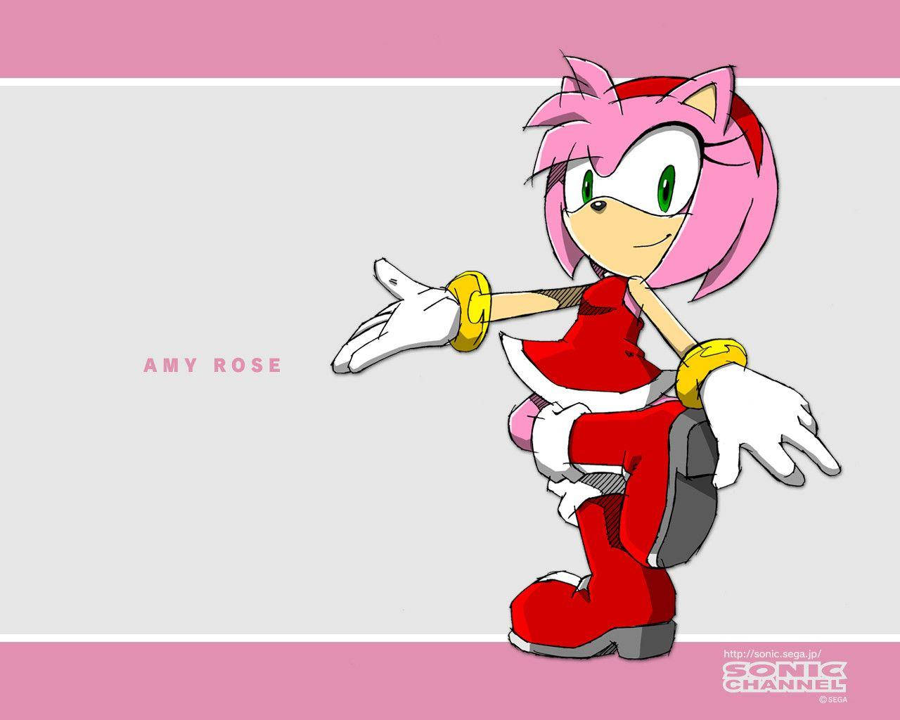 Amy Rose Drawing Art Background