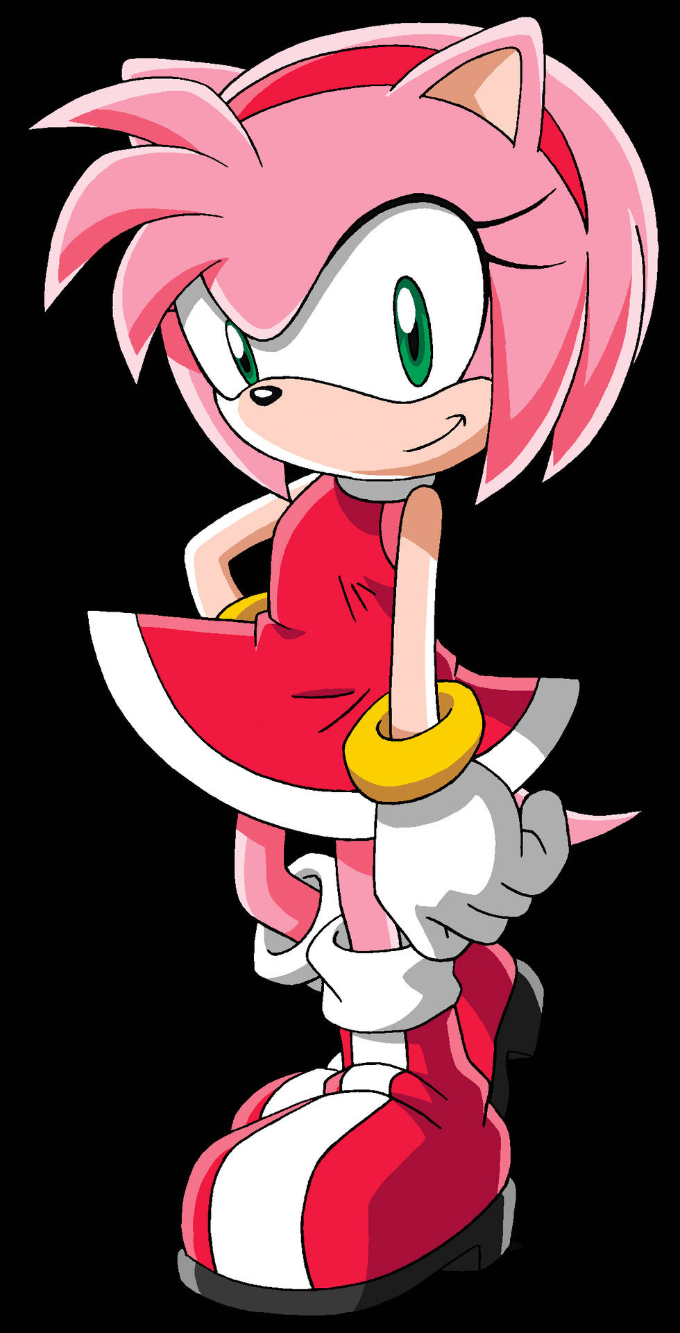 Amy Rose Sonic X Character Background