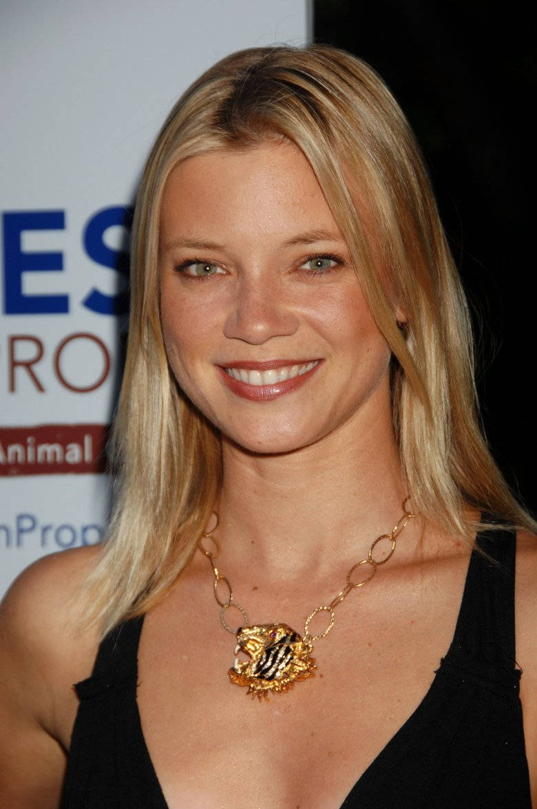 Amy Smart Actress Black Dress Background