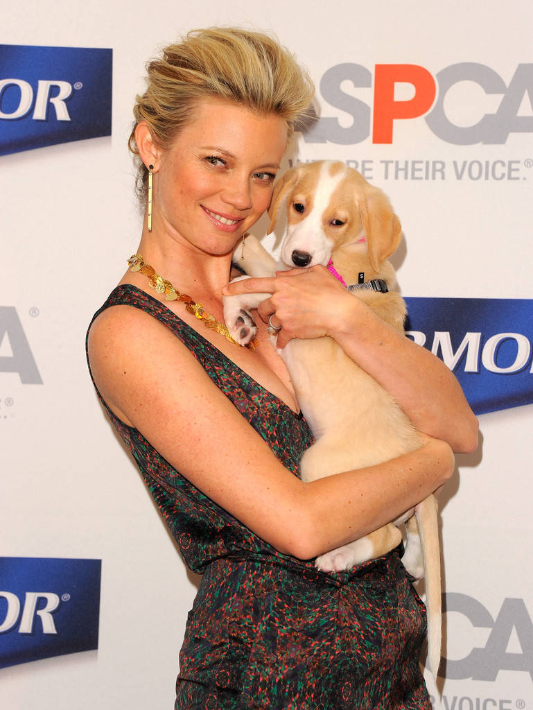 Amy Smart Dog Background