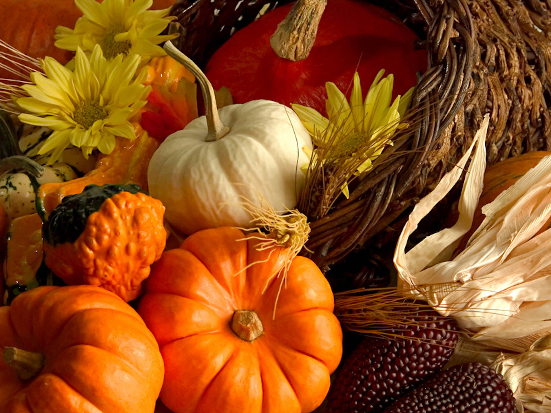 An Abundance Of Fresh Fall Vegetables Background