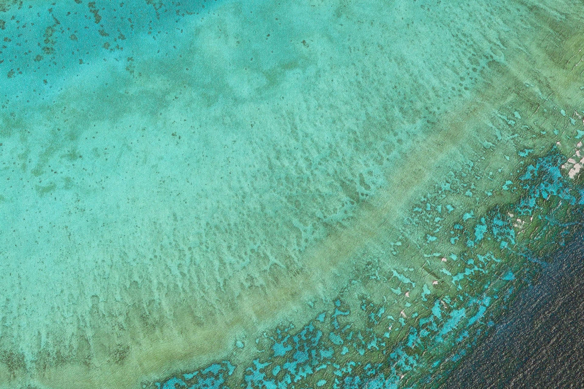 An Aerial View Of A Coral Reef Background