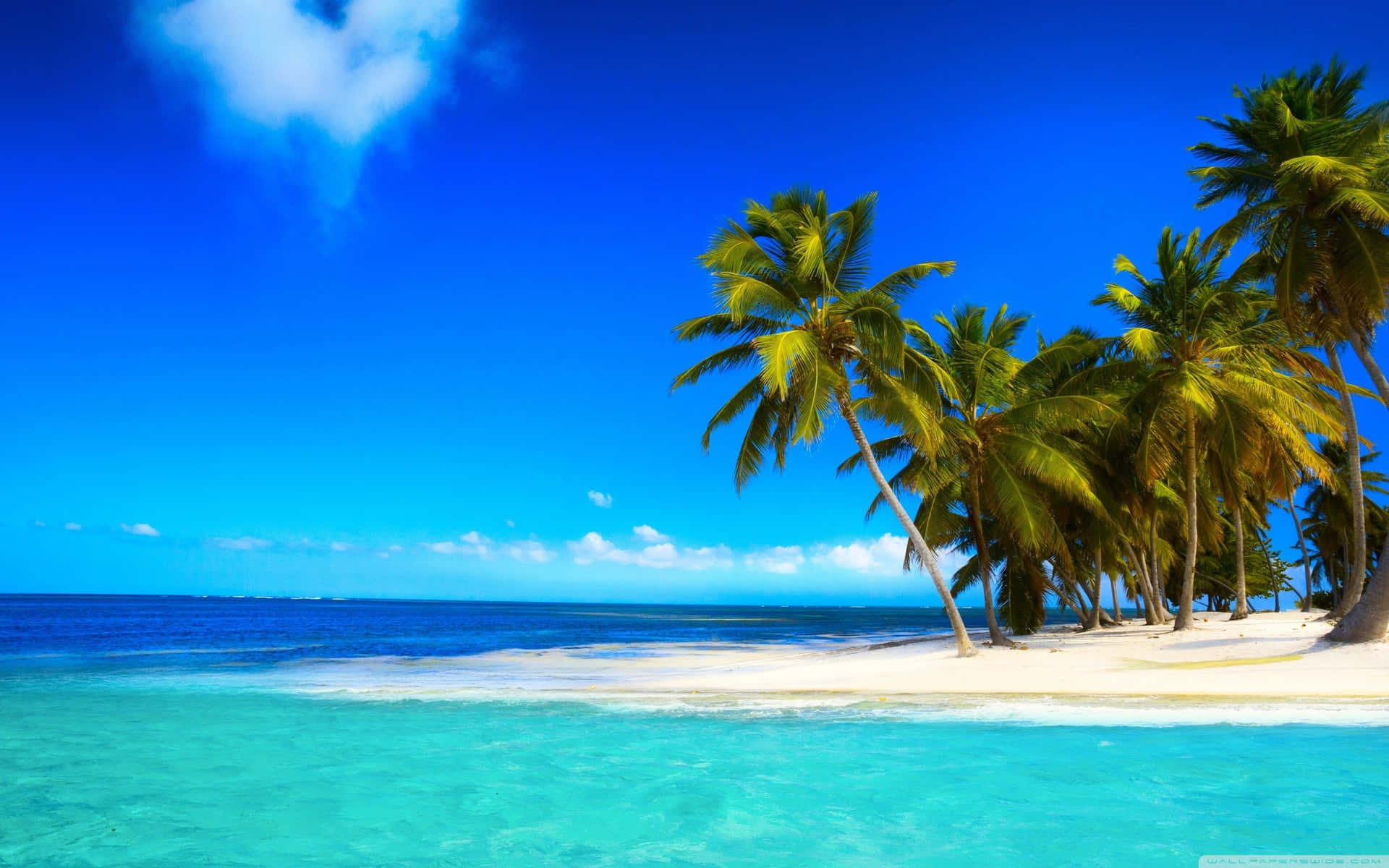 An Aerial View Of Palm Beach Background