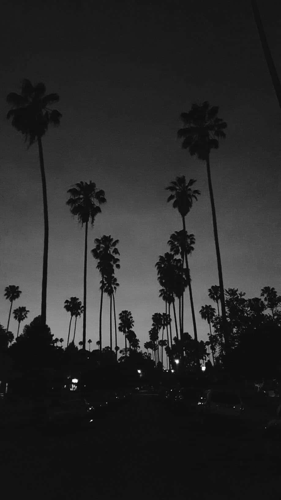 An Aesthetic Black And White Phone Background