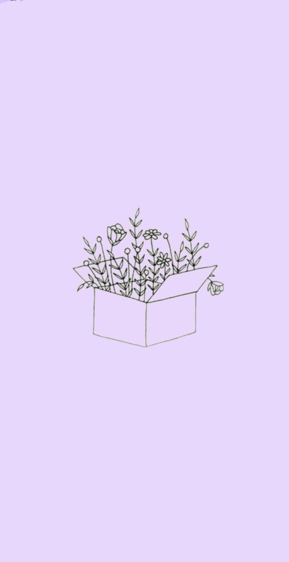 An Aesthetic View Of A Purple Flower Background