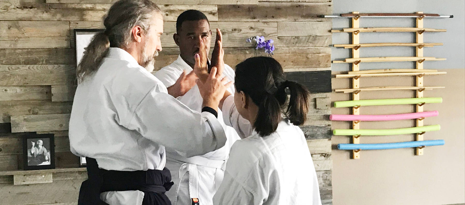 An Aikido Instructor Demonstrating Nikyo Techniques. Background