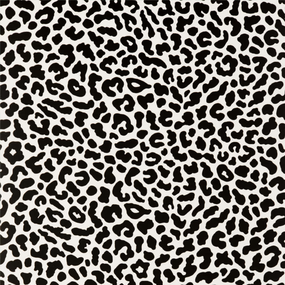 An Alluring Black And White Animal Print Wallpaper. Background