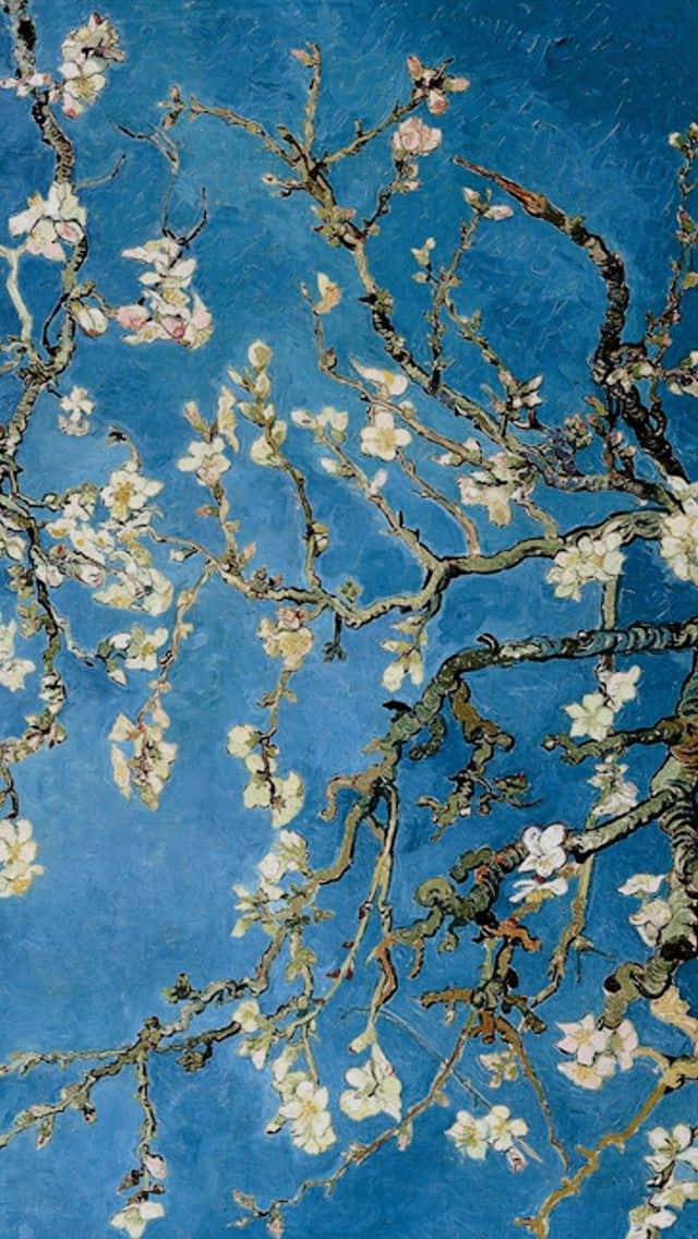 An Almond Tree With Blossoms In The Sky Background
