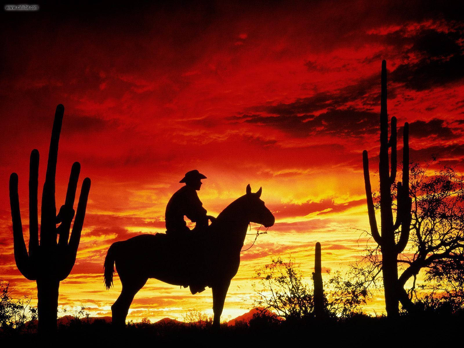 An American Cowboy Sporting His Trademark Cowboy Hat Background