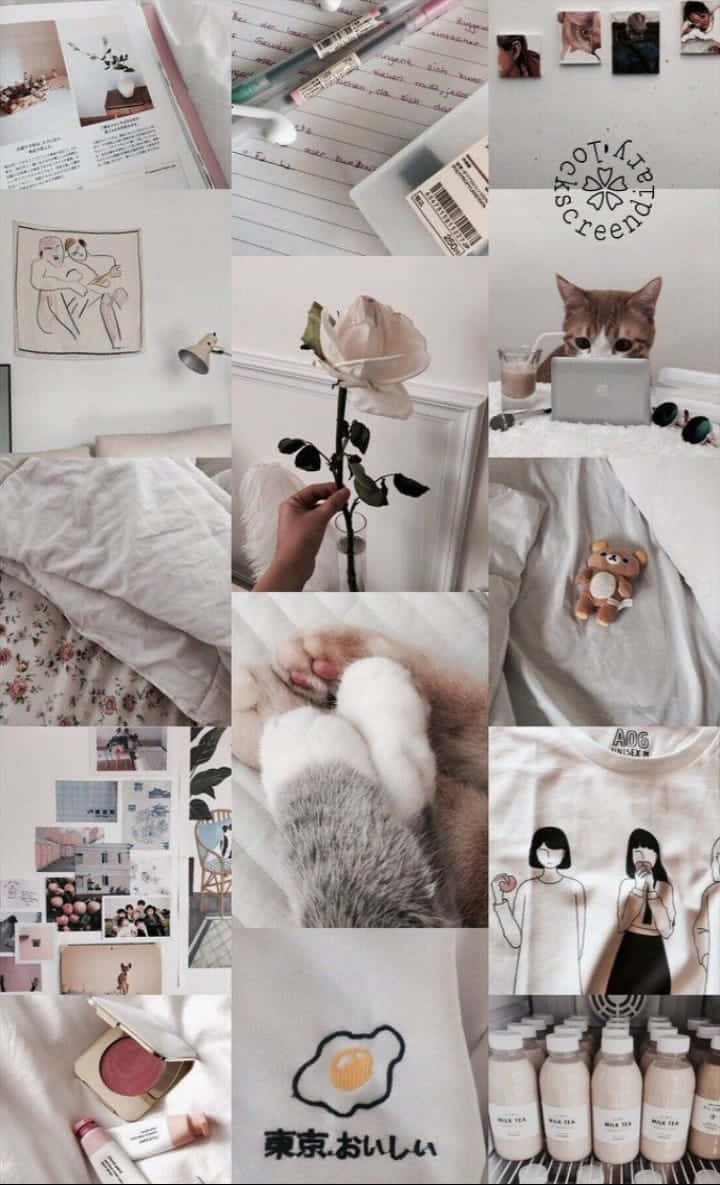 An Artistic Collage In White Aesthetic Background