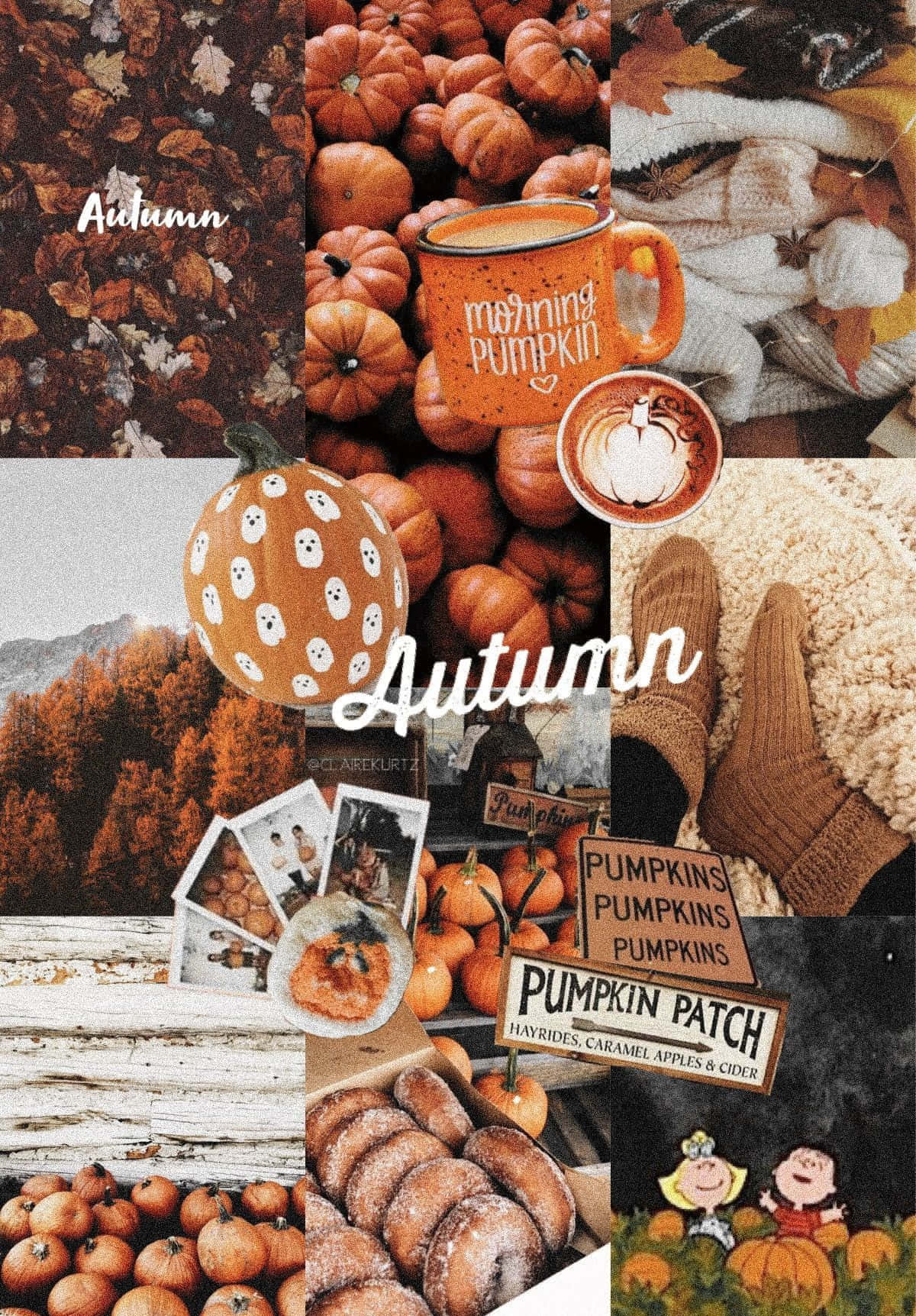An Artistic Collage Of Autumn In Full Bloom. Background