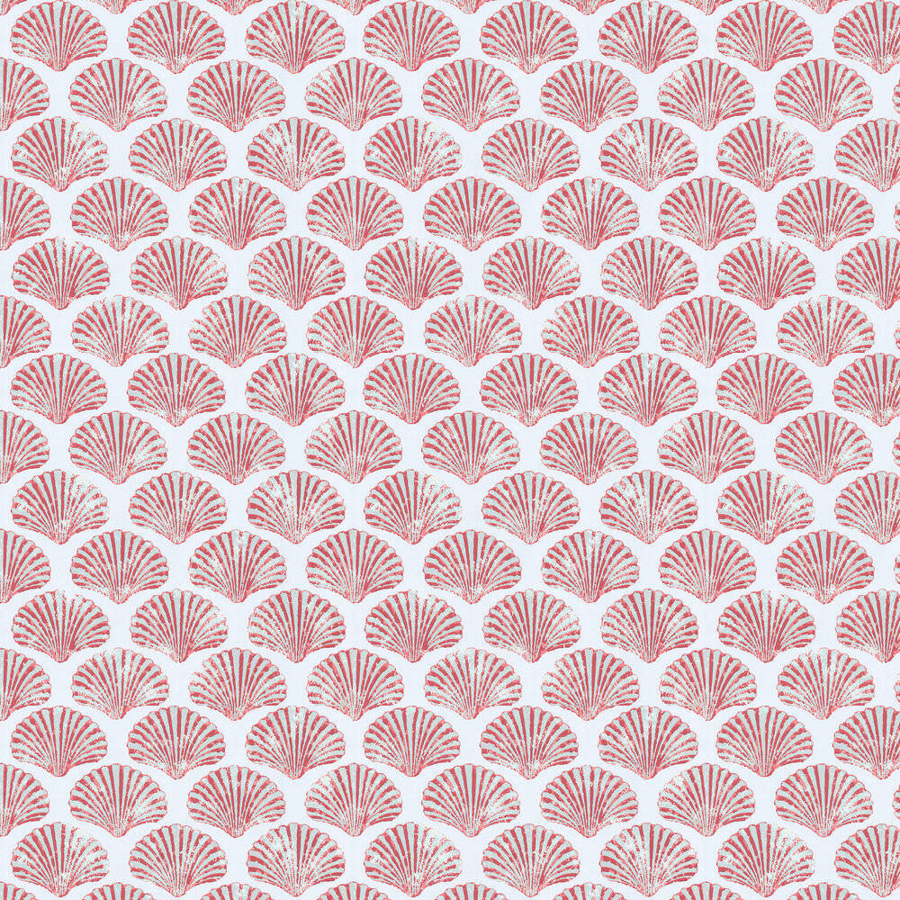 An Artistic Collage Of Scallops Shells In Shades Of Pink And White