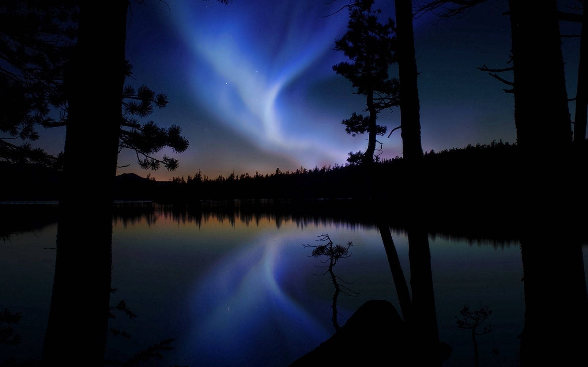 An Aurora Bore Over A Lake With Trees Background
