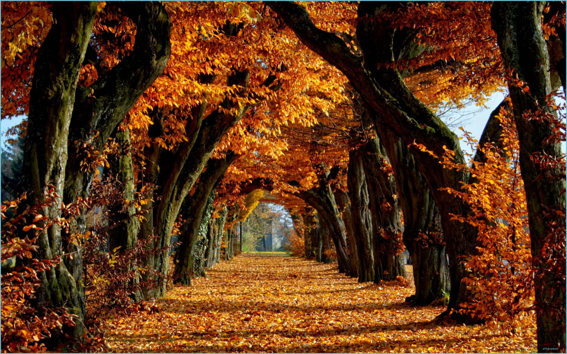 An Autumn View Of New England Background