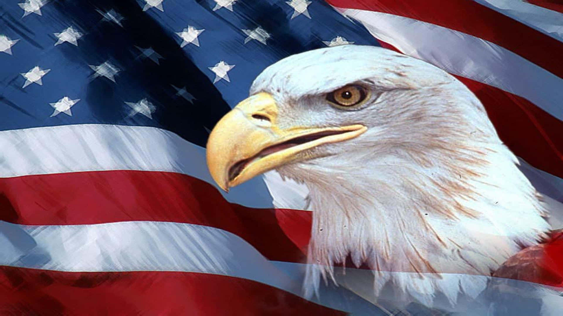 An Eagle Is Shown In Front Of An American Flag Background