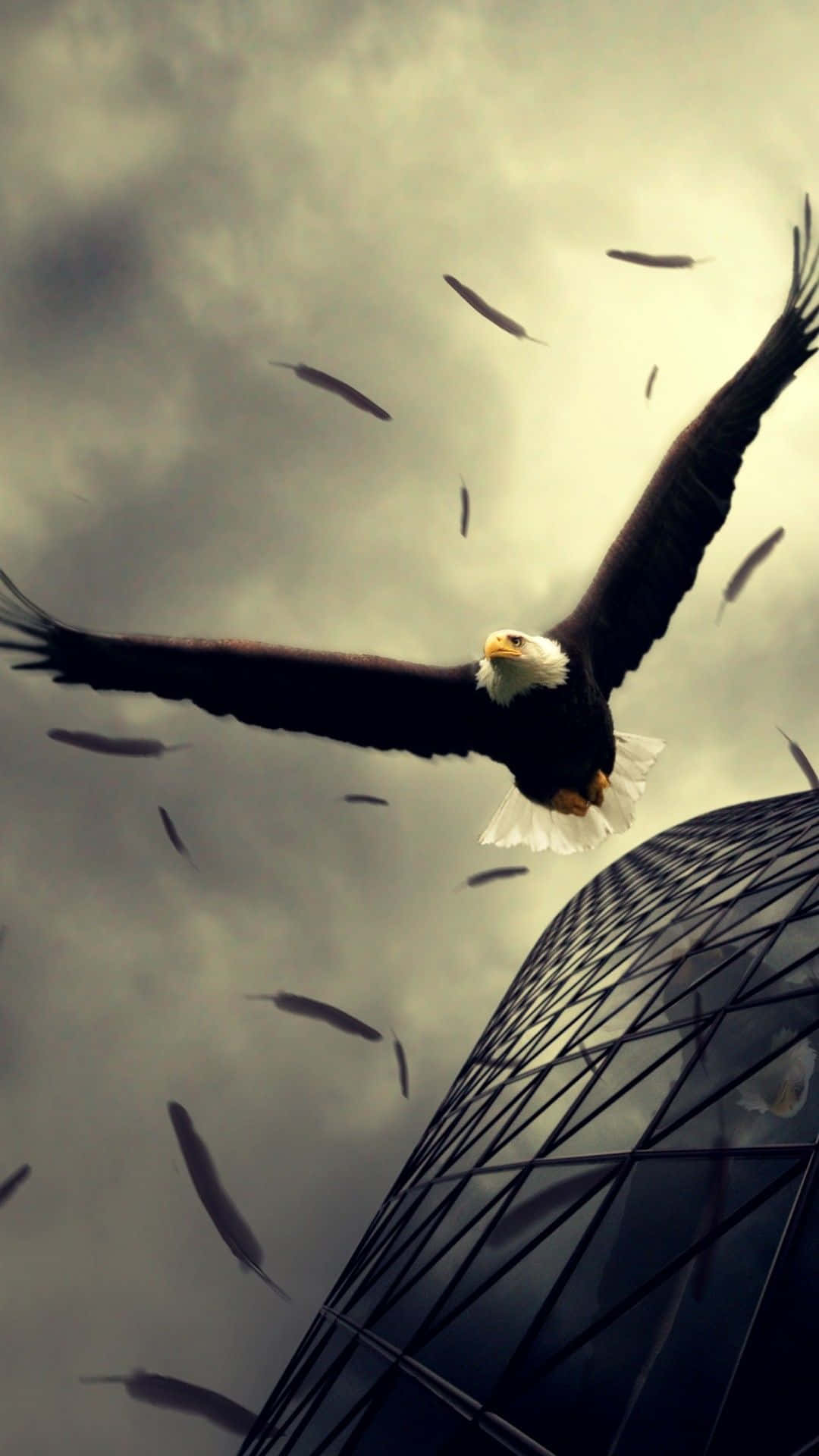 An Eagle Spreads Its Wings Across An Iphone's Screen