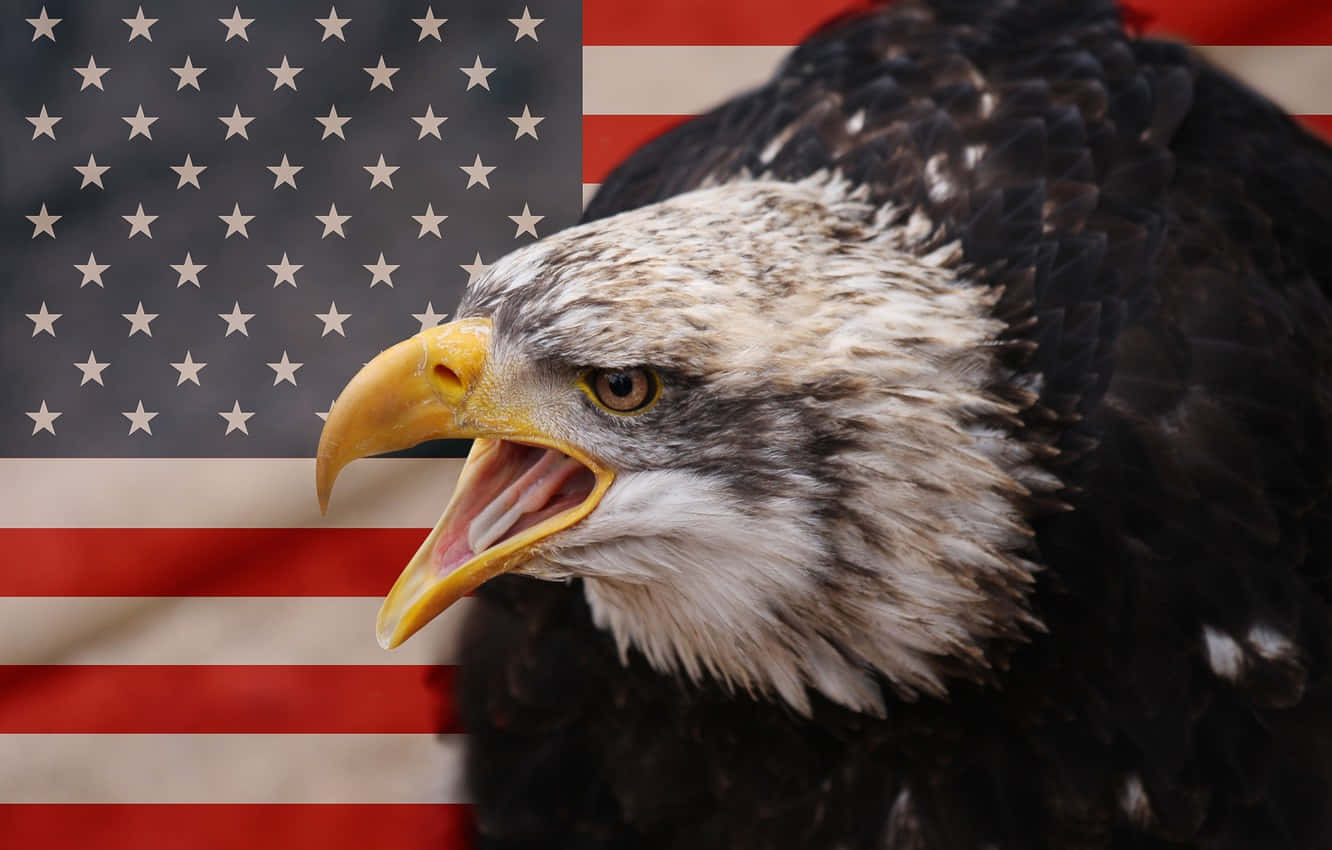 An Eagle With Its Mouth Open In Front Of An American Flag Background