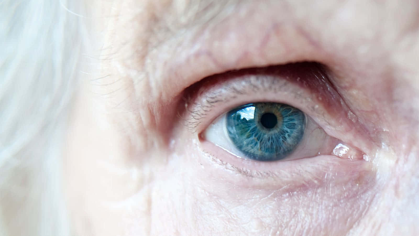 An Elderly Woman's Eye With Blue Eyes Background