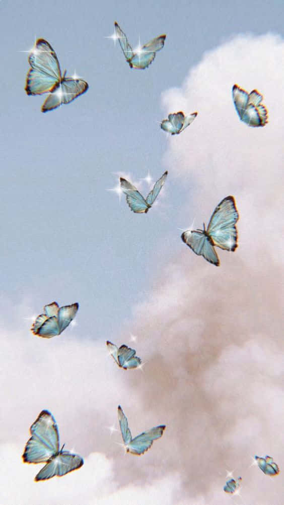 An Elegant Cool Butterfly Background
