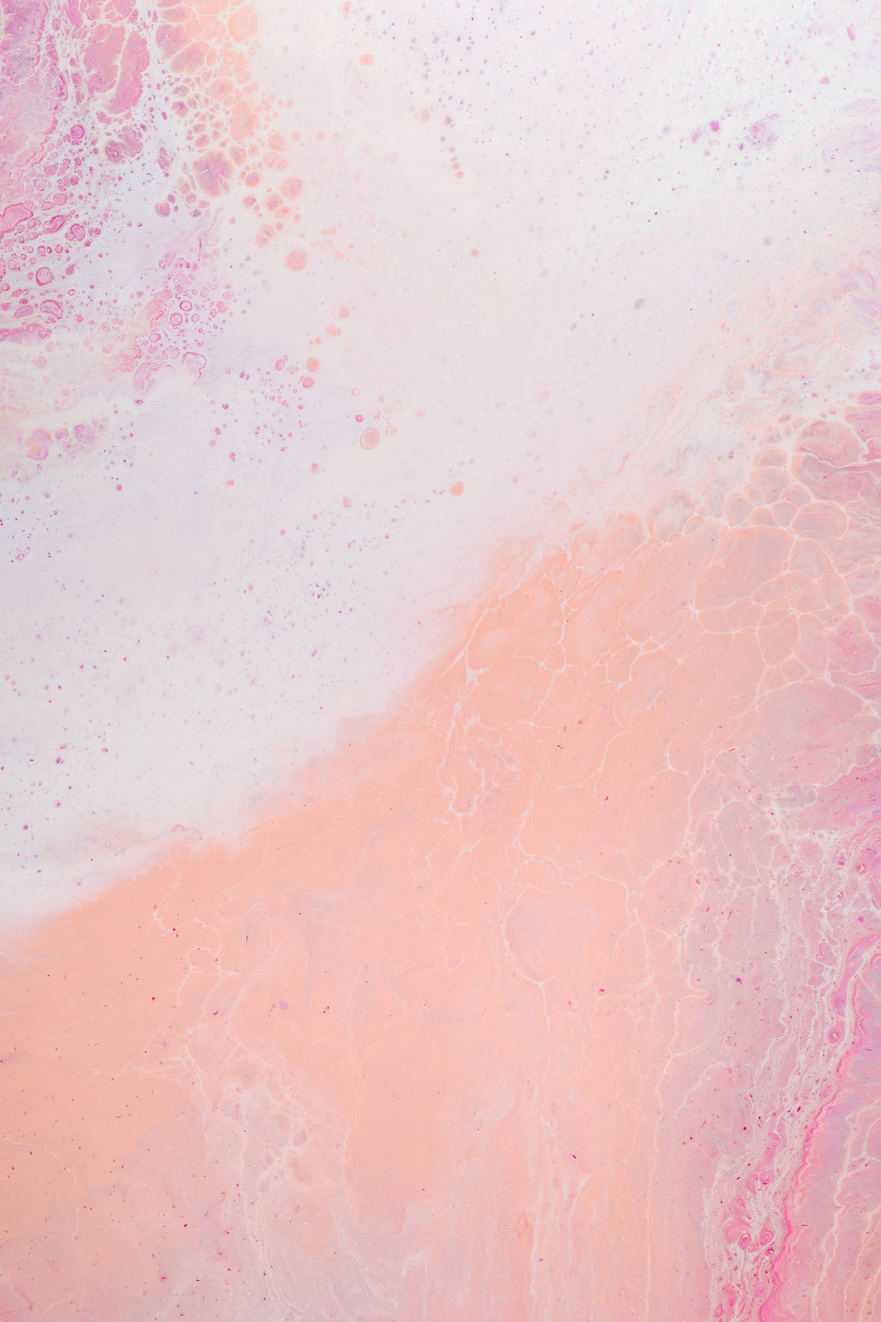 An Elegant Display Of Pastel Pink Blooms. Background
