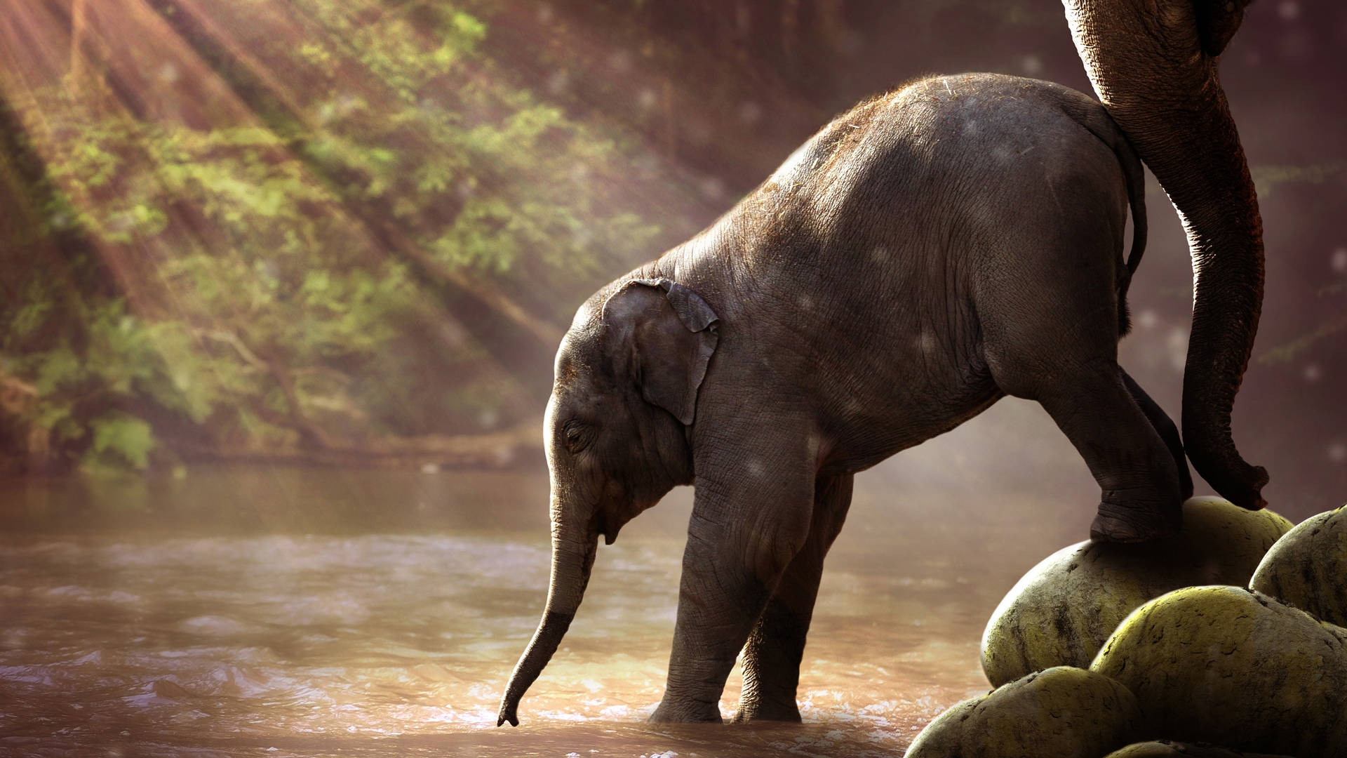 An Elephant Stands Against The Beautiful African Sky Background