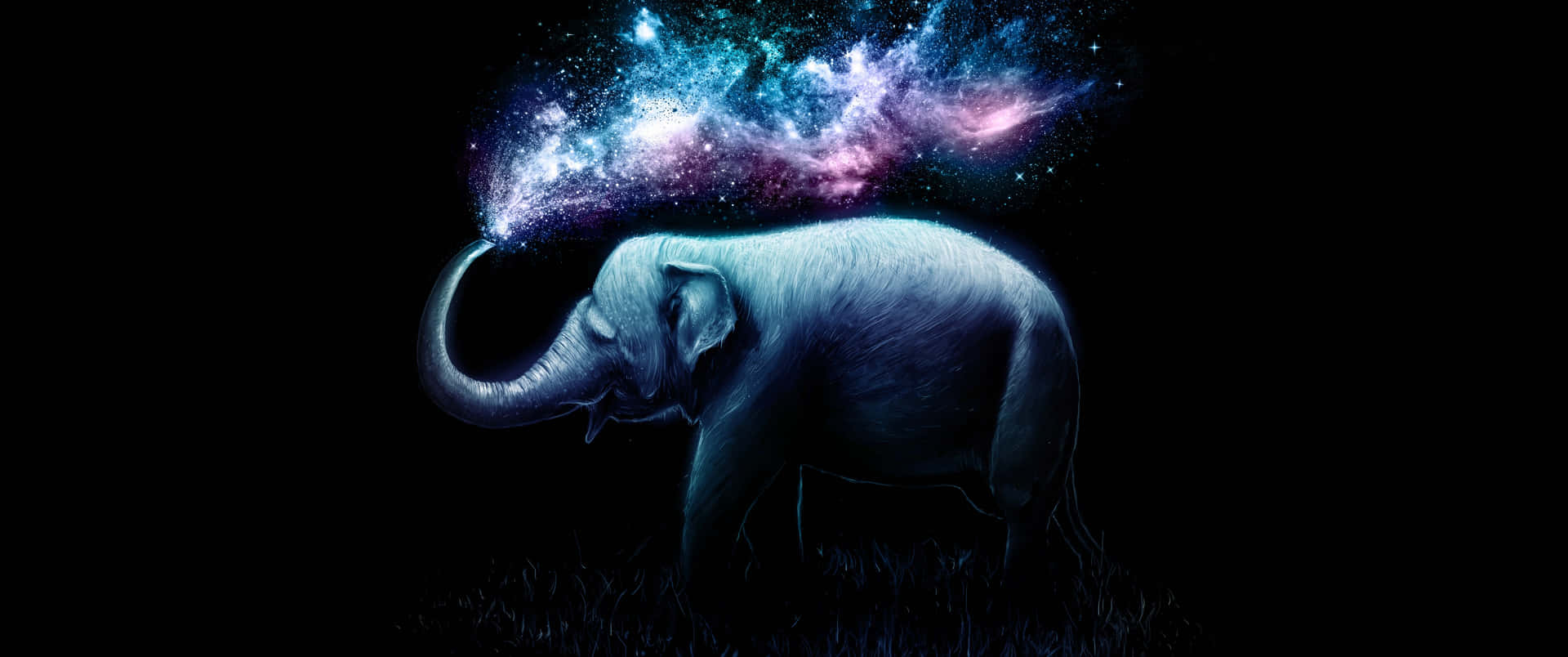 An Elephant With A Starry Sky In The Background Background