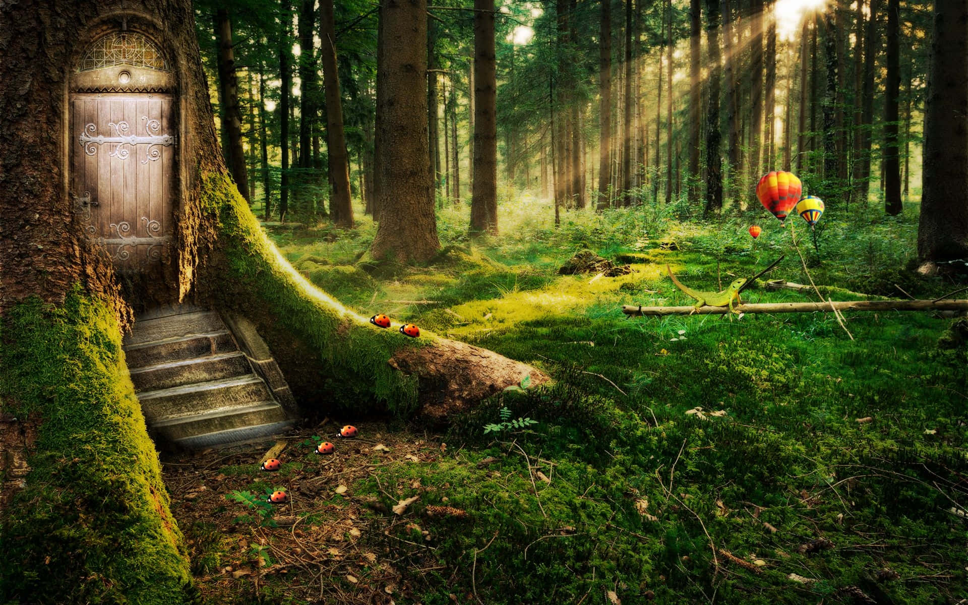 An Enchanted Fairy Forest, Deep In A Magical Forest. Background