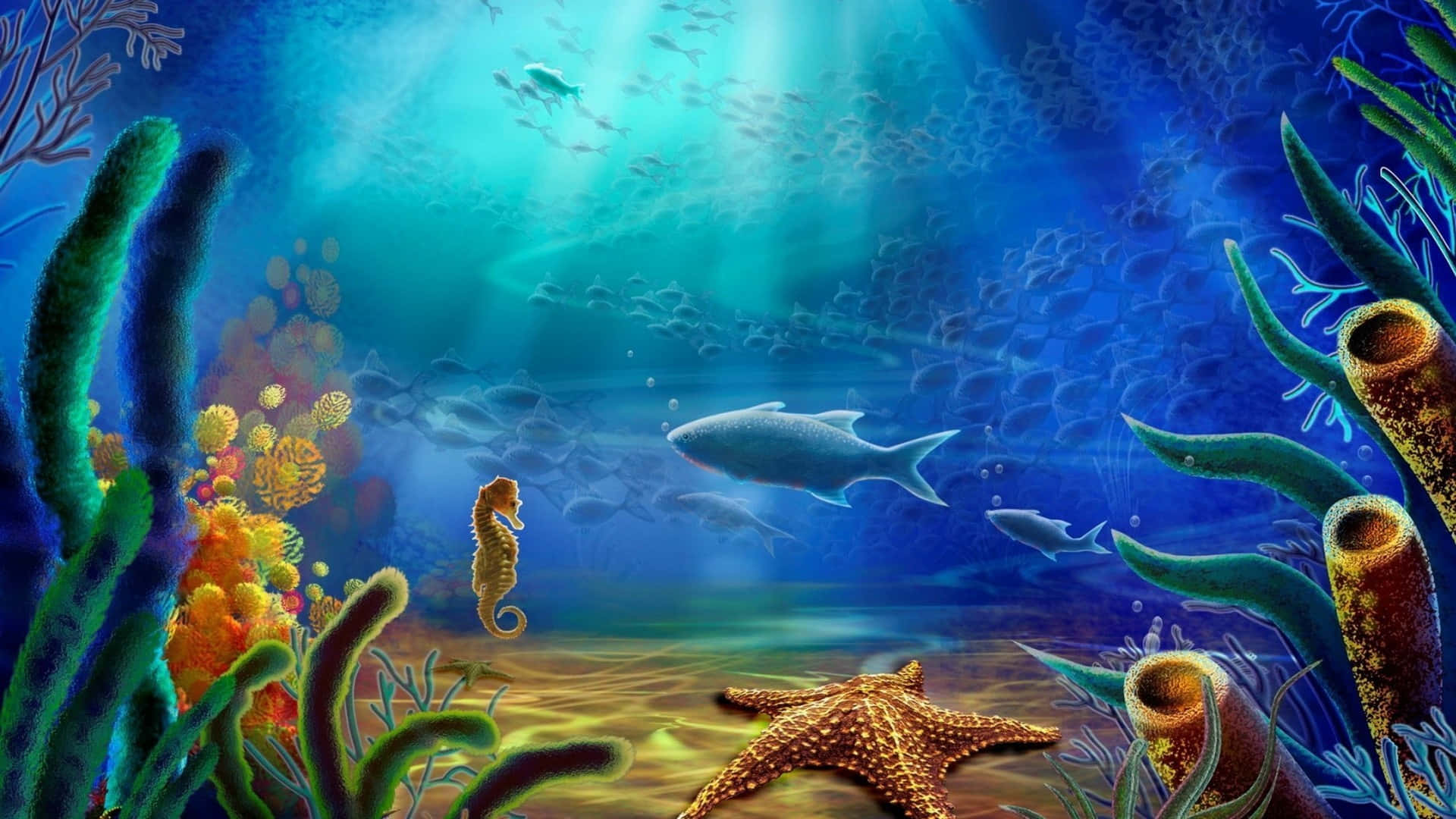 An Enchanting View Of The Underwater World Background