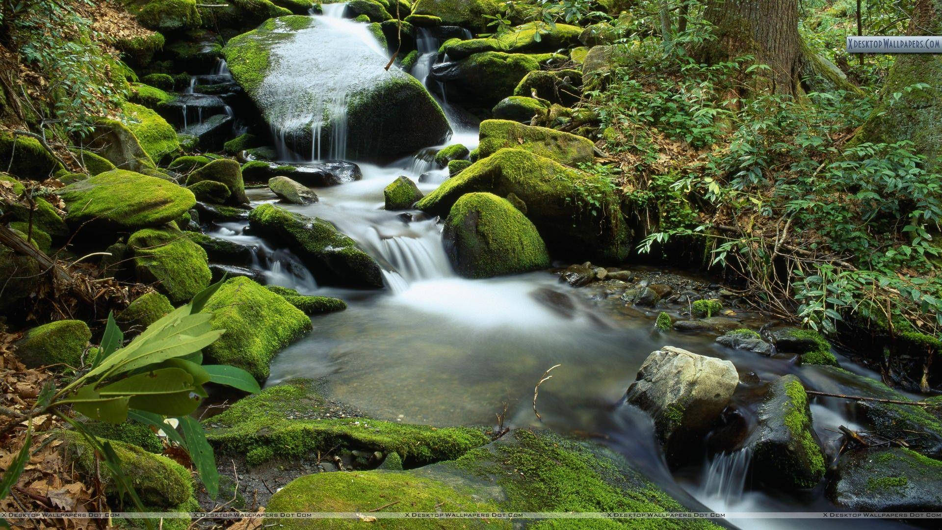 An Endless View Of The Majestic Great Smoky Mountains Background