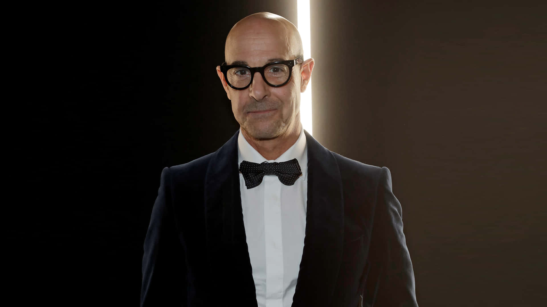 An Engaging Portrait Of Hollywood Star Stanley Tucci. Background