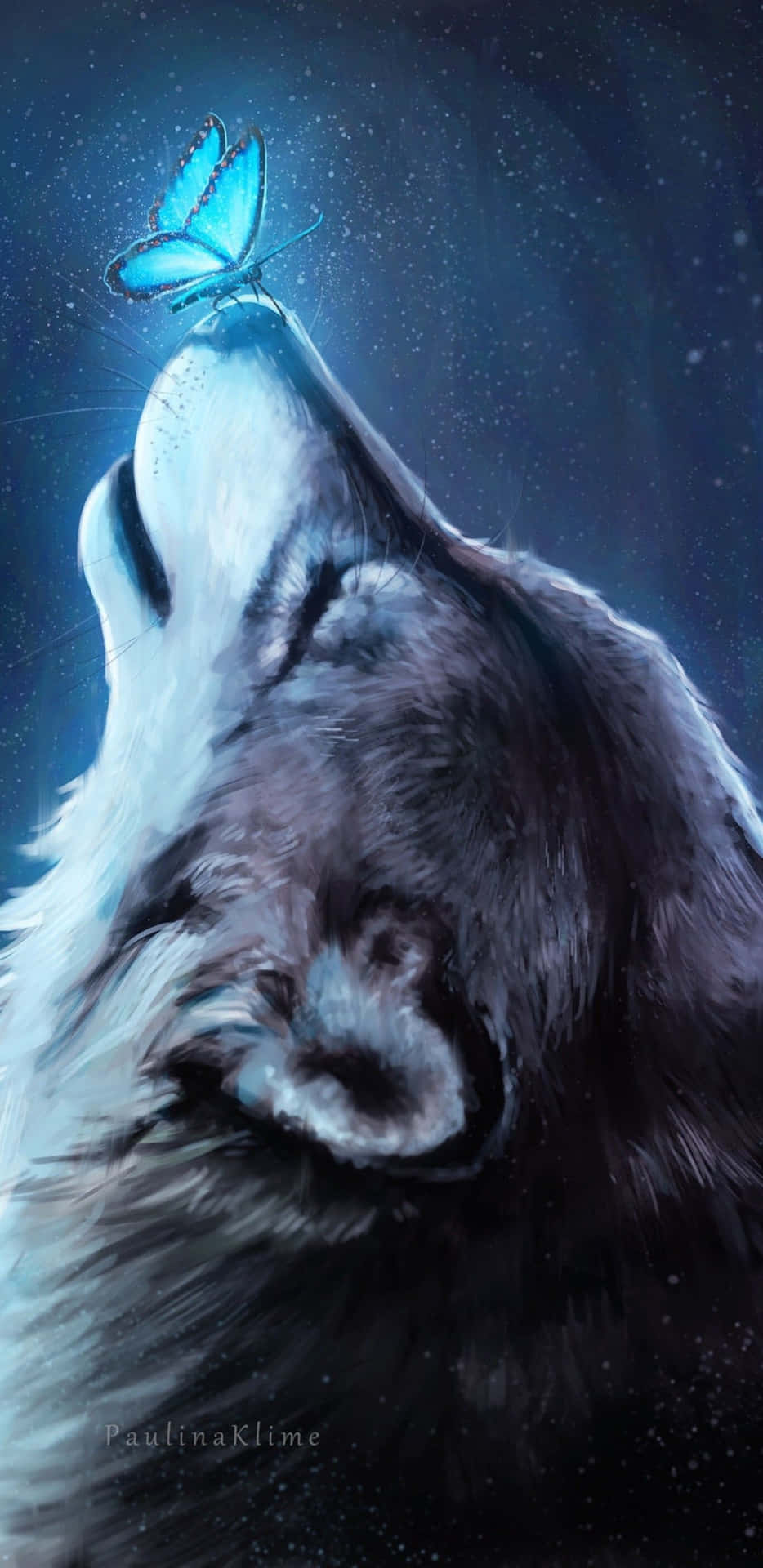 An Enigmatic And Powerful Proud Pretty Wolf Background