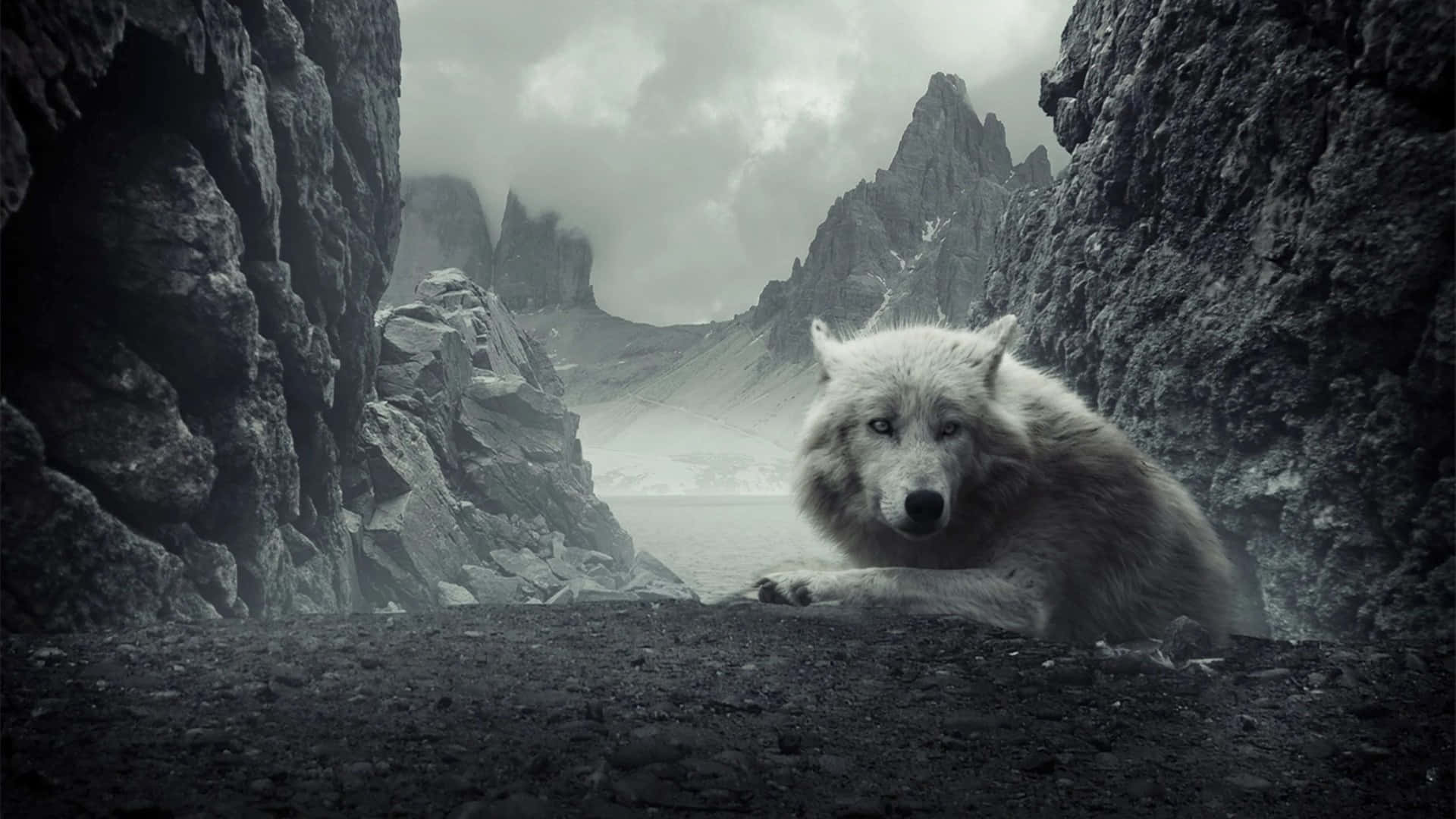 An Epic Wolf With An Expansive Landscape Background